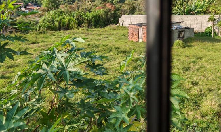 WhatsApp Image 2026-02-09 at 1.22.04 PM (1)