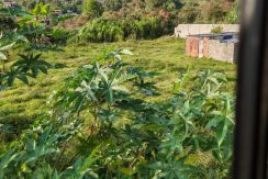 WhatsApp Image 2026-02-09 at 1.22.04 PM