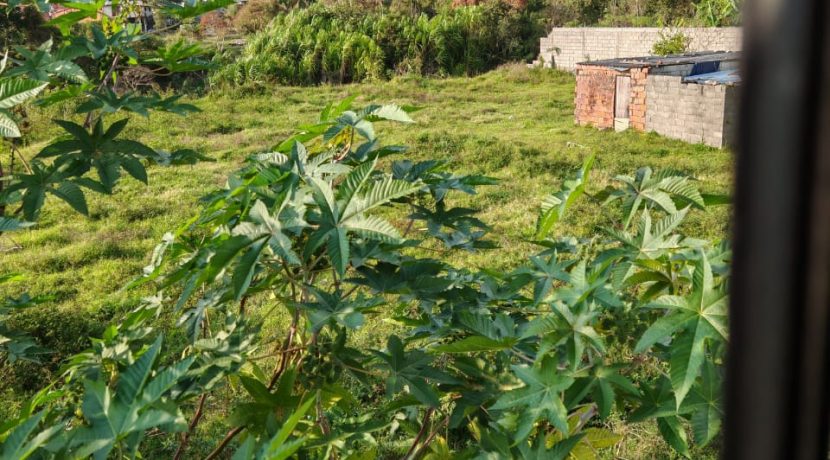 WhatsApp Image 2026-02-09 at 1.22.04 PM