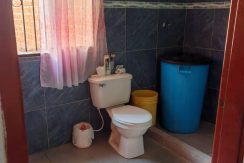 WhatsApp Image 2026-02-09 at 1.22.05 PM (4)