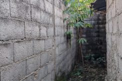 WhatsApp Image 2026-02-09 at 1.22.06 PM (2)