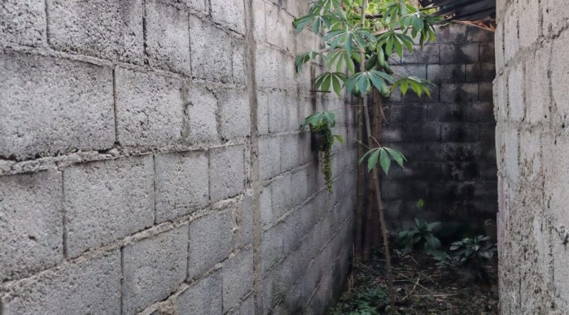 WhatsApp Image 2026-02-09 at 1.22.06 PM (2)