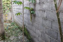 WhatsApp Image 2026-02-09 at 1.22.06 PM (3)