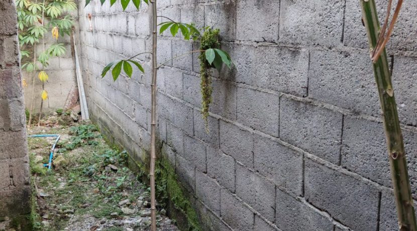 WhatsApp Image 2026-02-09 at 1.22.06 PM (3)