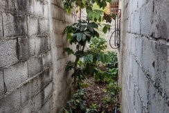 WhatsApp Image 2026-02-09 at 1.22.06 PM (6)