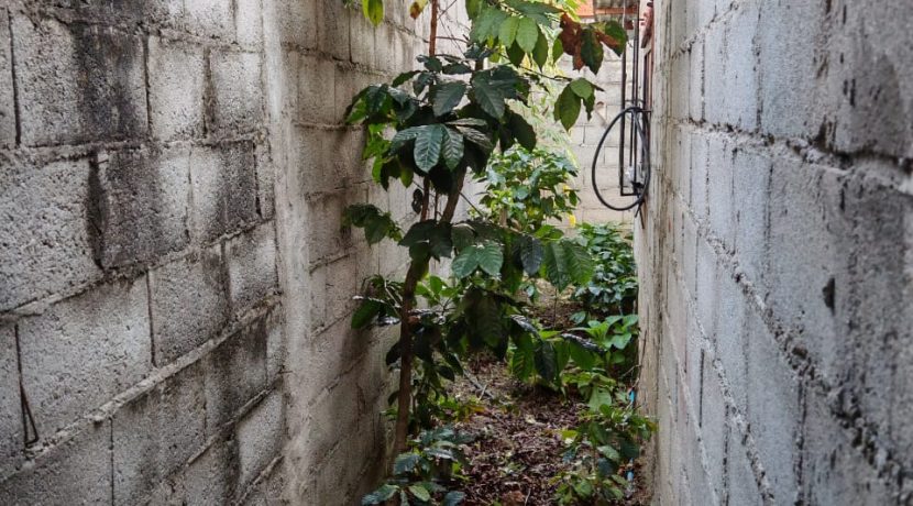 WhatsApp Image 2026-02-09 at 1.22.06 PM (6)